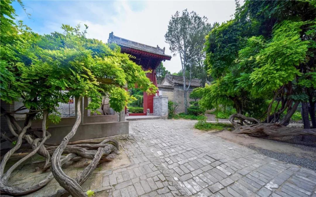 清明寄哀思，紀念園也是一種風景