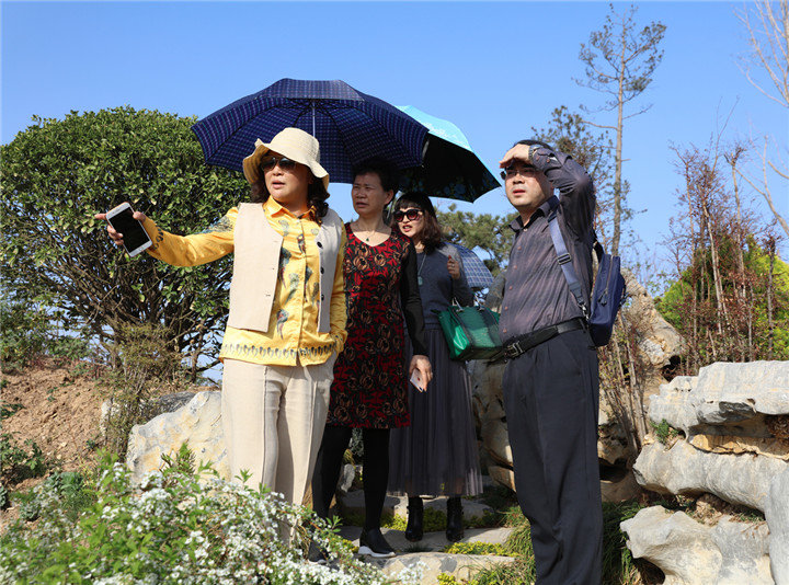 15365671081072099266.jpg 3.jpg