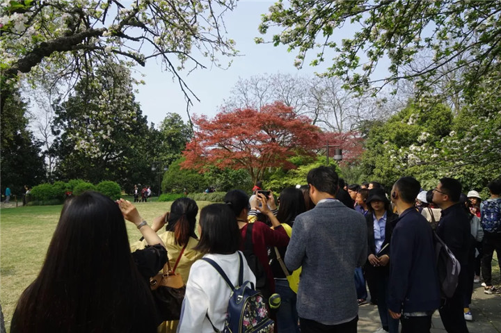 15365674379551339965.jpg QQ圖片20180910161714.jpg