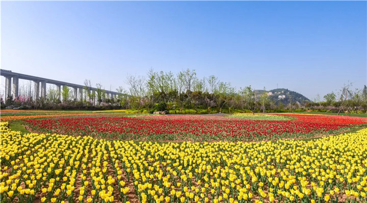 1536649754129078E635.jpg QQ圖片20180911095202.jpg