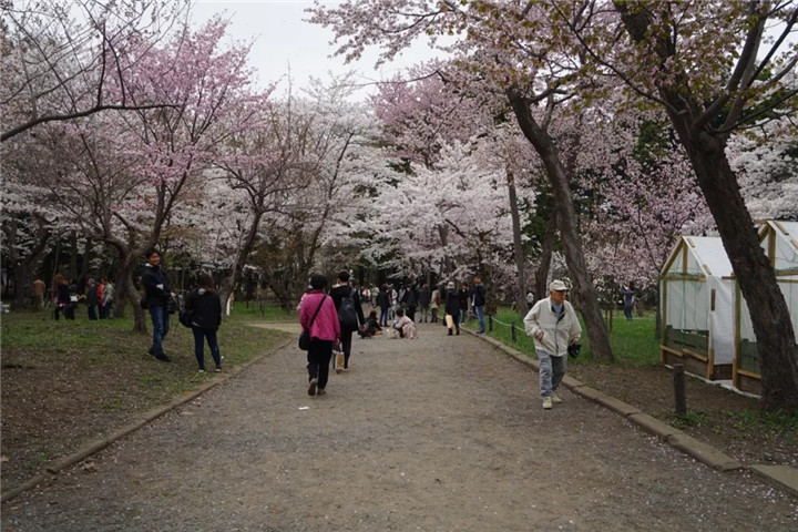 15368030564537276CA5.jpg QQ圖片20180913093558.jpg