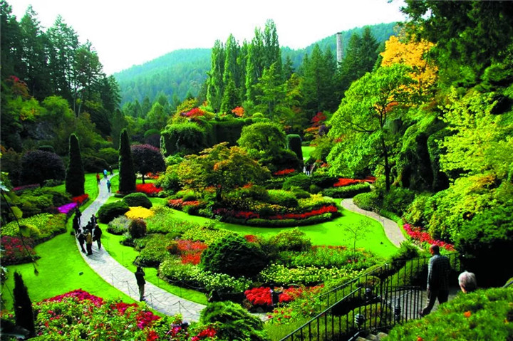 15368062097813718B3A.jpg QQ圖片20180913102101.jpg