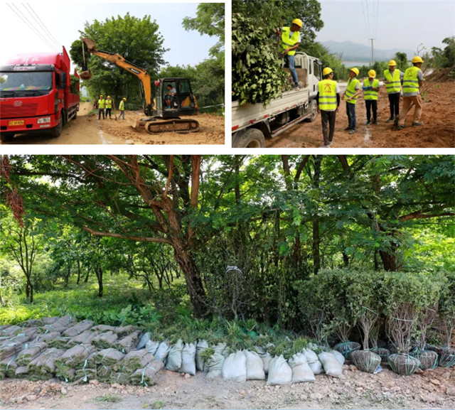 1536890913107837324F.jpg QQ圖片20180914095616.jpg