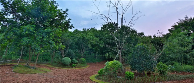 15368911789713133CB4.jpg QQ圖片20180914100104.jpg