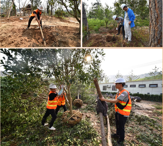 1537180039741050E2FE.jpg QQ圖片20180917182310.jpg