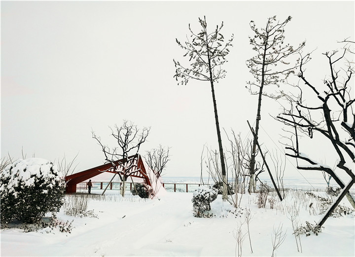 張俊捷-5.一點紅銹 2017-12-23  白紙黑墨再配上一筆暖色，構成了一幅有韻味的畫面。耐候鋼與油松的高矮對比，奠定了畫面的平衡。.jpg