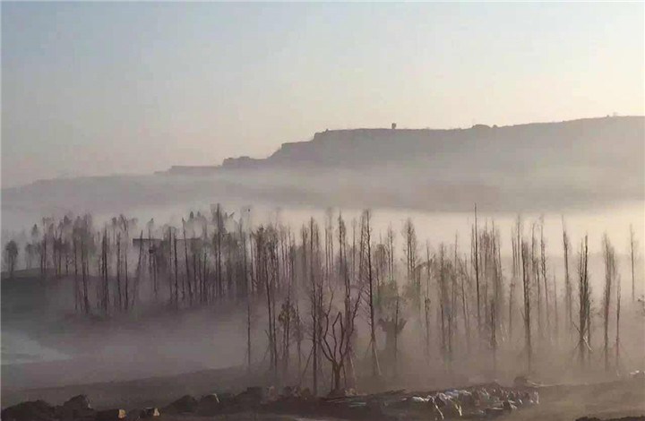 朱何超 寶雞.jpg