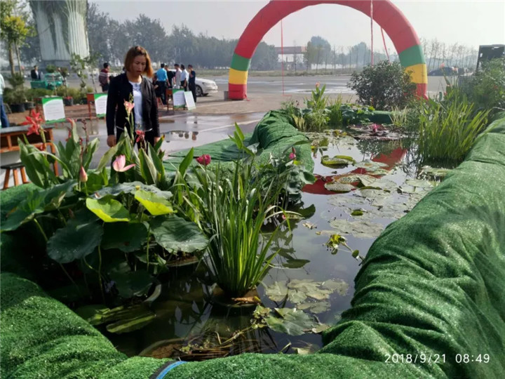 1537861986841701CC11.jpg QQ圖片20180925155013.jpg