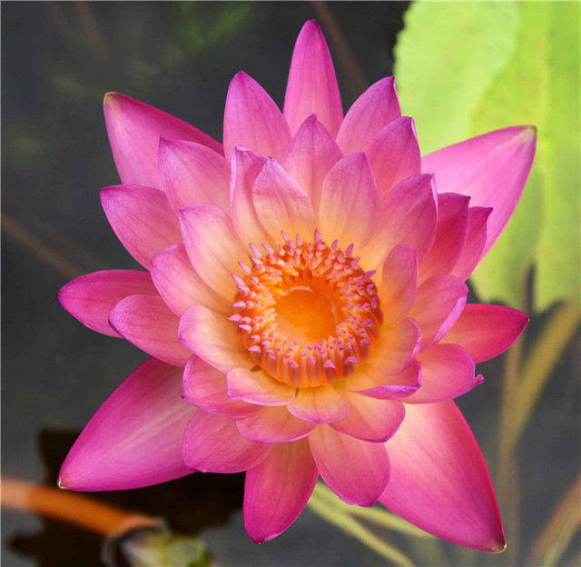 15417478661147576A06.jpg 人文 初夏.jpg