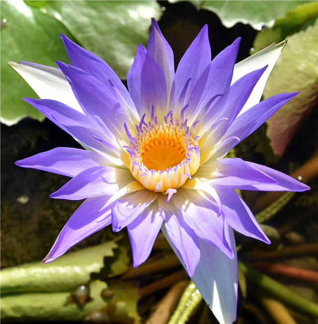 1541747952980220BD65.jpg 人文 藍玉.jpg