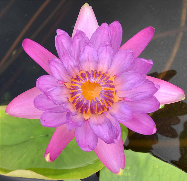 1541747958139775D5E0.jpg 人文 夕陽.jpg