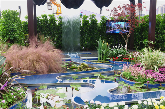 1541748552117369E853.jpg 6.jpg