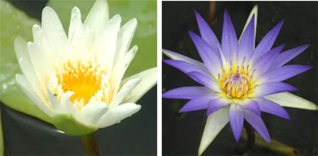 1545272922319769pAE4.jpg QQ圖片20181220102630.jpg