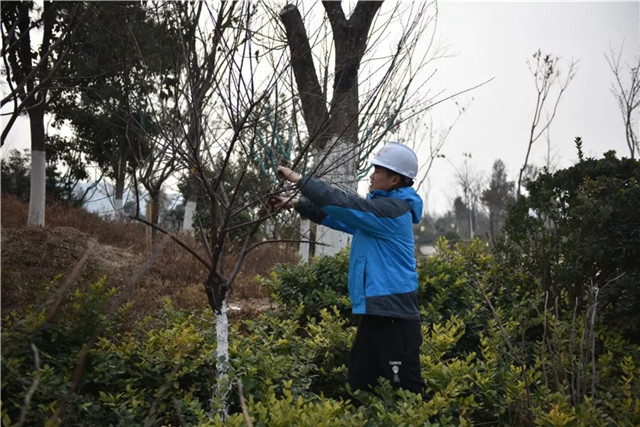 1548229142539317D9FA.jpg QQ圖片20190123153300.jpg