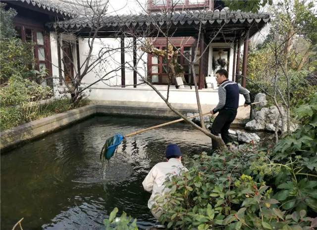 15514087771042742716.jpg 1.jpg