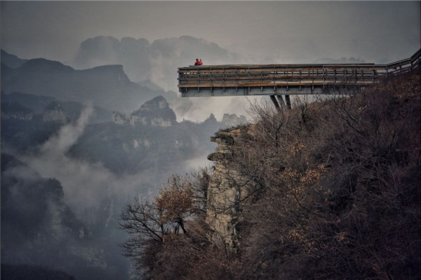 15560086781116154022.jpg 1 (64).jpg