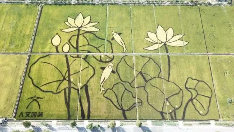 1606811842676287CE7A.jpg 微信圖片_20201201163630.jpg