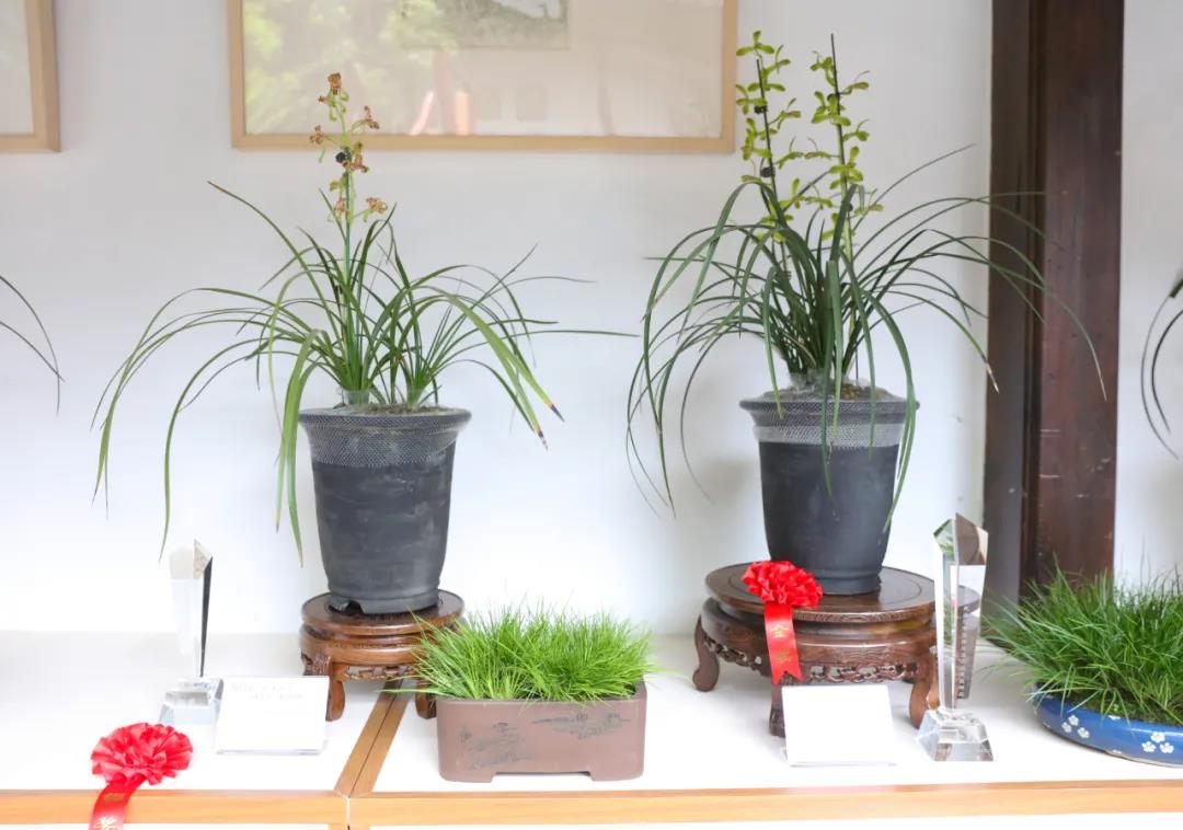 16176730116079967C3A.jpg 微信圖片_20210406093330.jpg