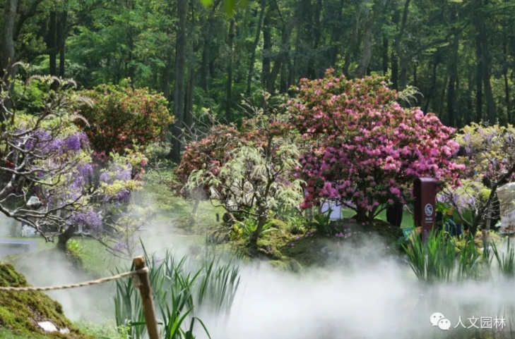 16831817348511686C7C.png image.png