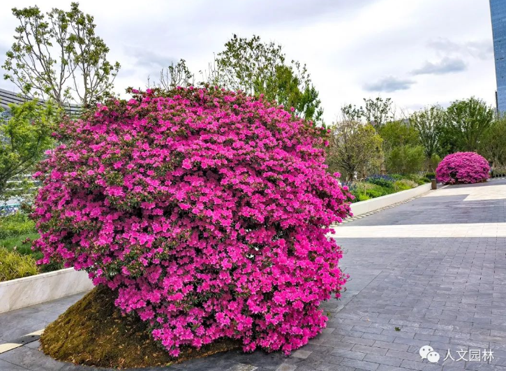 16837703881145899DCC.png image.png