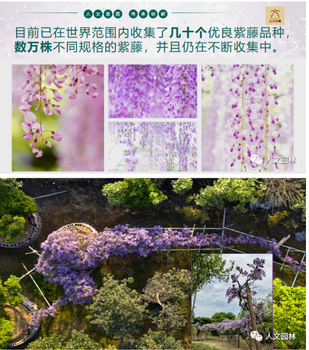 1683791822115807C670.png image.png