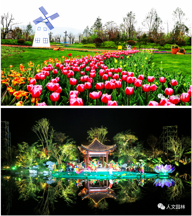 16879312137515071DFA.png image.png